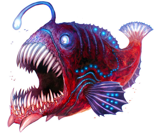 SH+Giant+Angler+Fish+0of2.jpg