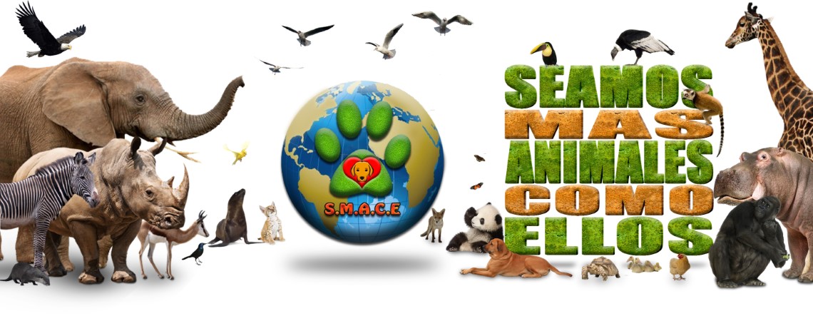 Seamos Mas Animales Como Ellos - SMACE