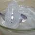 สูตรการทำขนมบวดลูกตาล