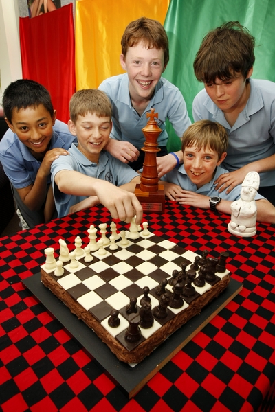 Chess Skills: 2011