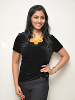 Kruthika at Vinavayya Ramayya press meet-cover-photo