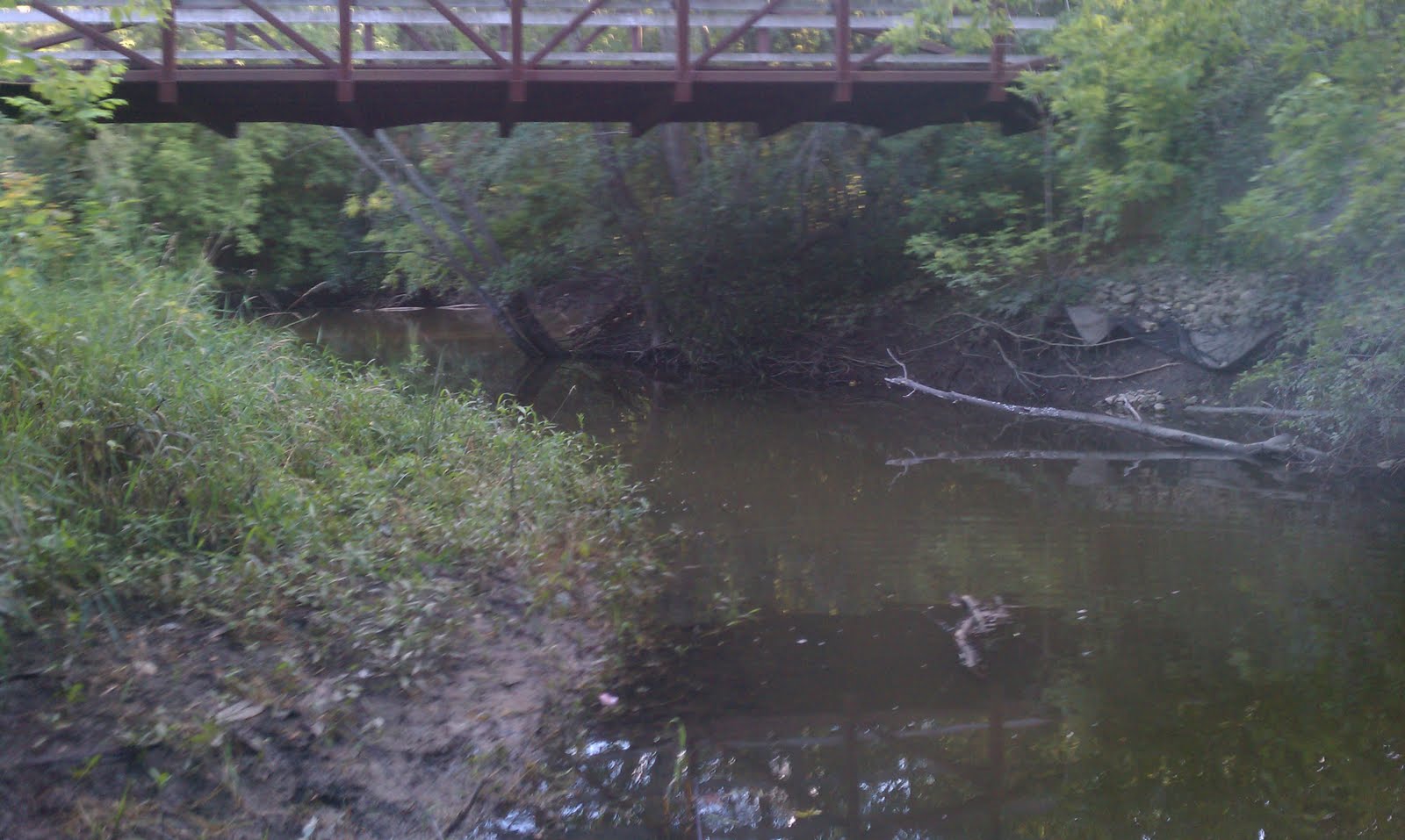 Illinois Wisconsin Fishing poke a pike on the des plaines river