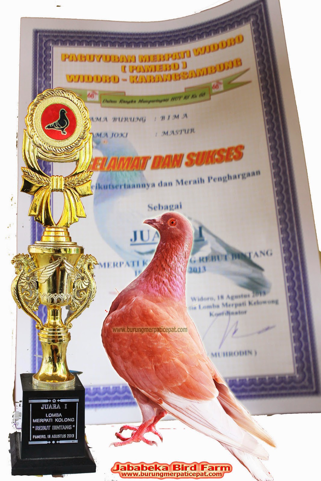 (0287) 382807 / 085228600358 / 085329515425 penjual