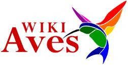 WikiAves