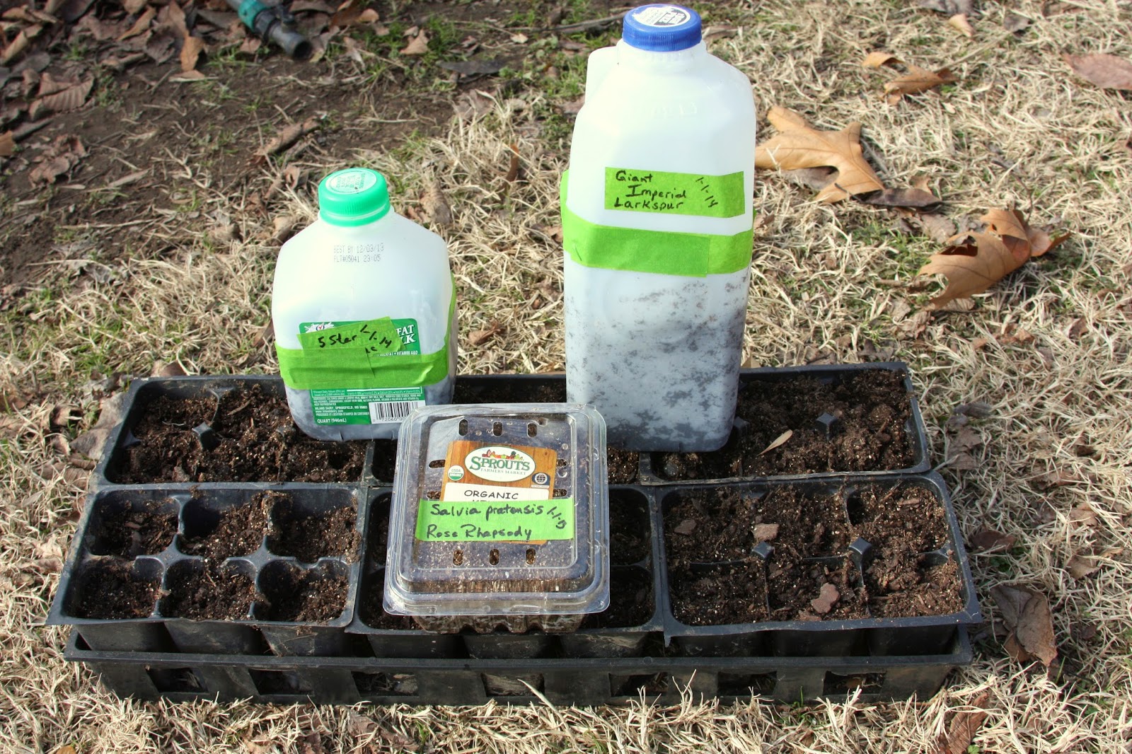 Sowing Seeds in Winter Months for Spring Gardens