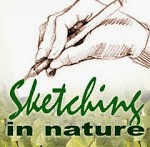 Sketching in Nature