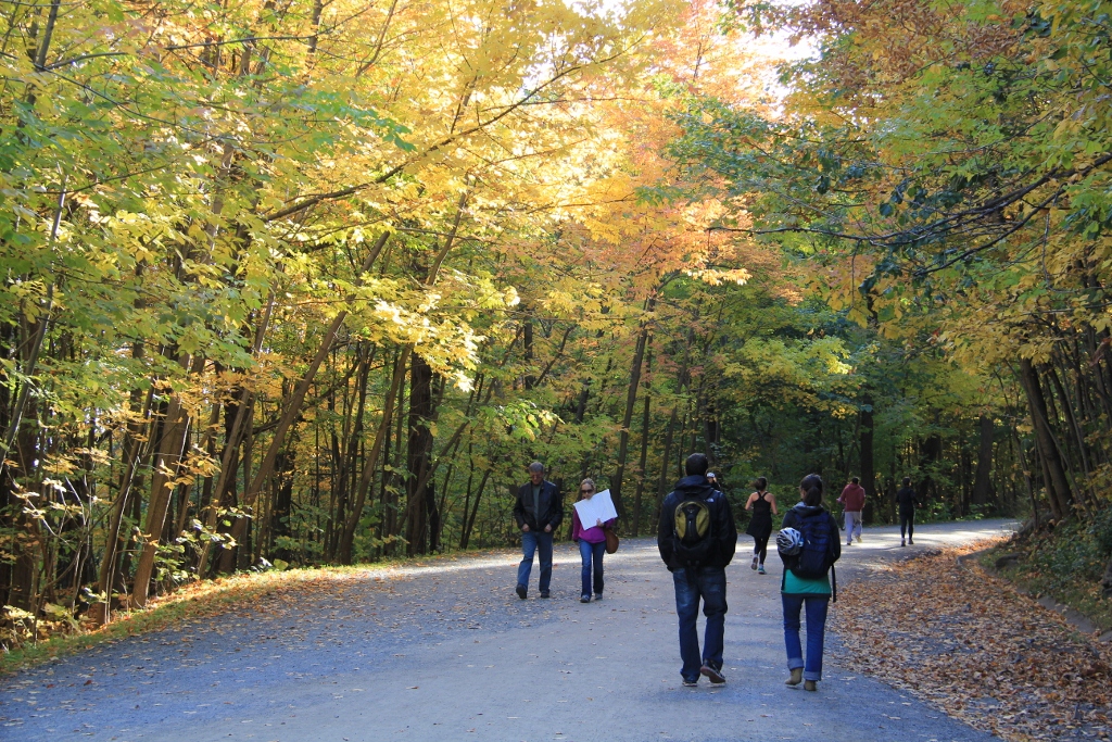 Hiking Trails of Montréal Trail List
