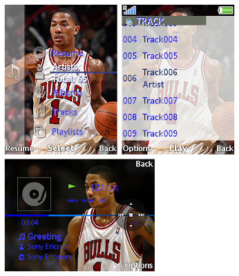 Derrick Rose SonyEricsson手機主題for Elm/Hazel/Yari/W20﹝240x320﹞