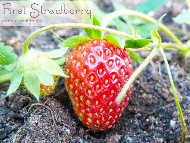 Strawberries ~ #garden #plant #website #HGTVGardens #spon