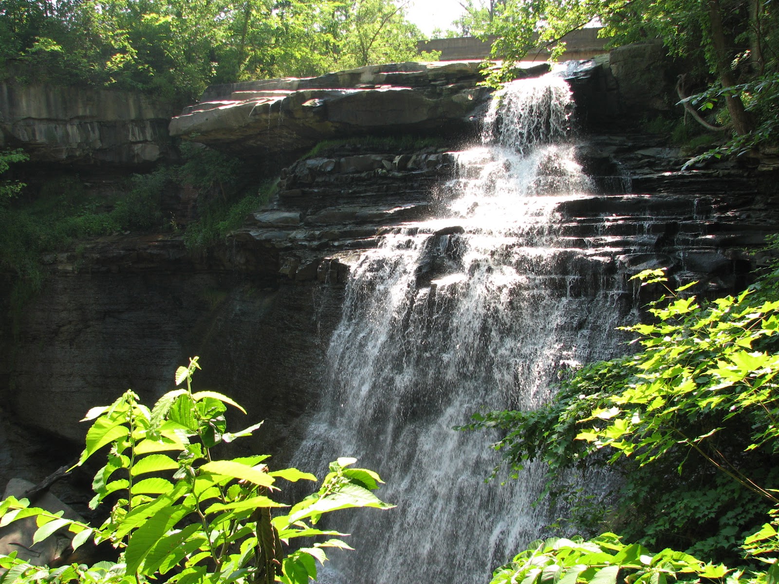 A Different Path Brandywine Falls, Sagamore Hills, Ohio