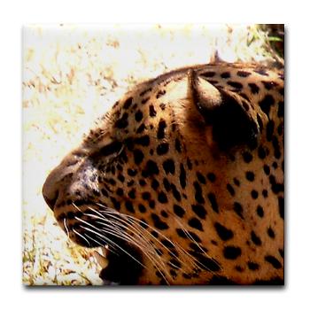 African American Home Decor African American Home Decor