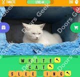 1 Pic 3 Words Level 293 answers cheats, solutions, walkthrough for 1 pic 3 words level 293