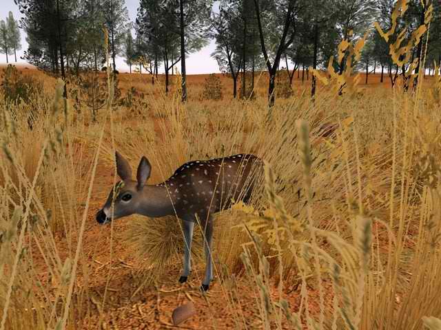 deer hunter free download