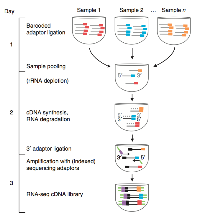 CoreGenomics Making highthoughput RNAseq easier