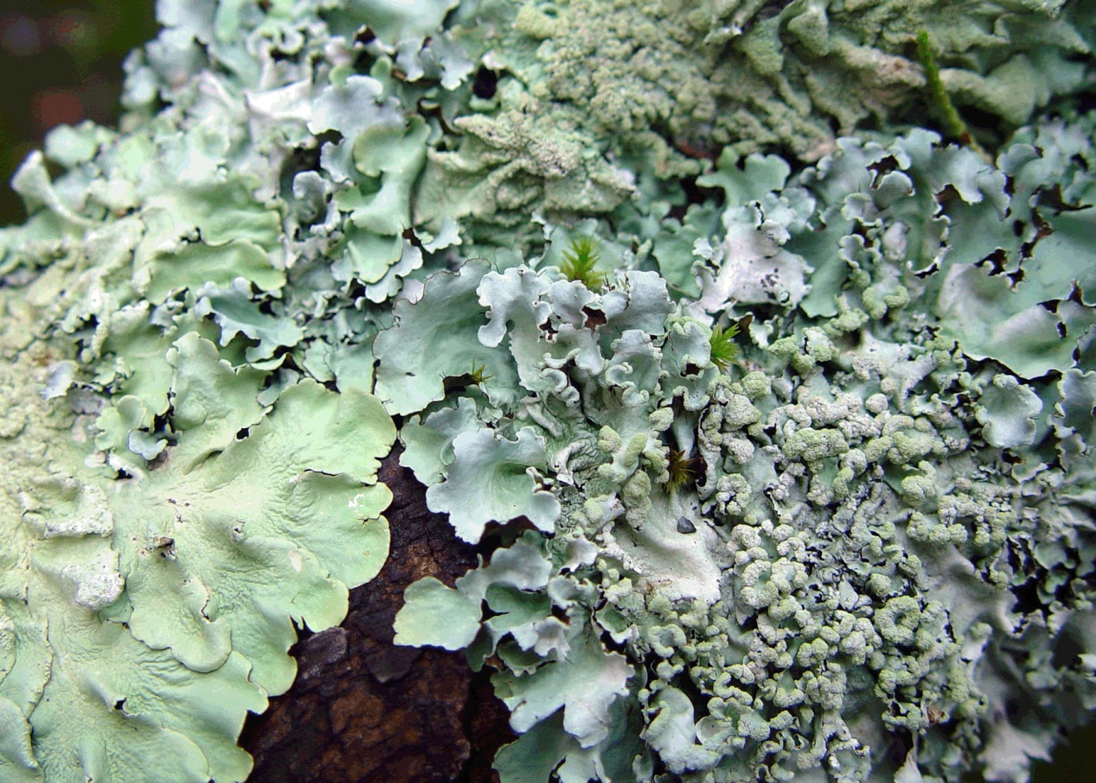 Eden By The Bay June 2013