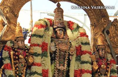 Narasimha Swamy, Yoga Narasimhar, Parthasarathy Temple, Triplicane, Thiruvallikeni, Brahmotsavam, 2015