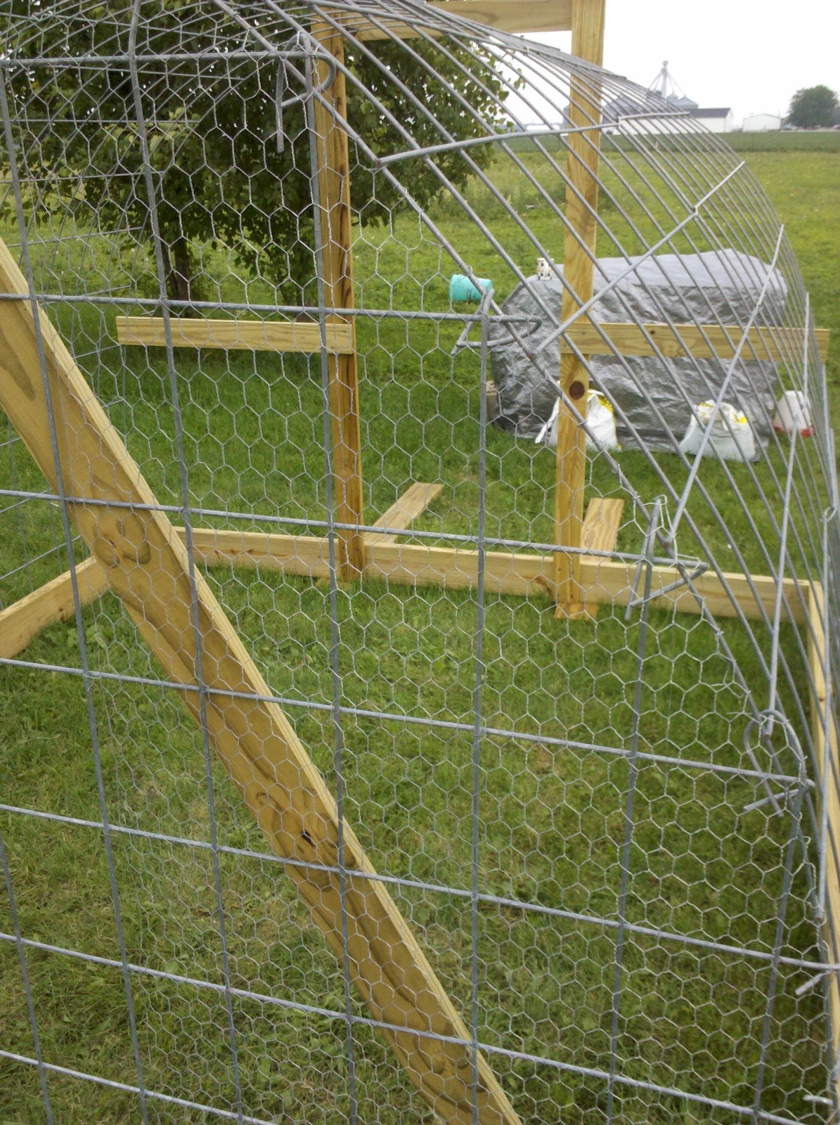 Life, Abundantly Asberry Acres Permaculture Forest Farm Chicken