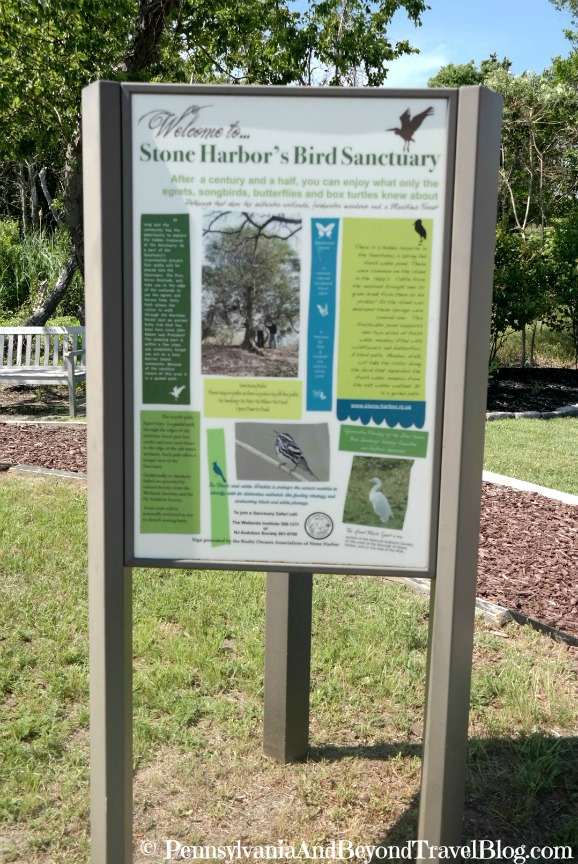Pennsylvania & Beyond Travel Blog Visiting the Stone Harbor Bird Sanctuary