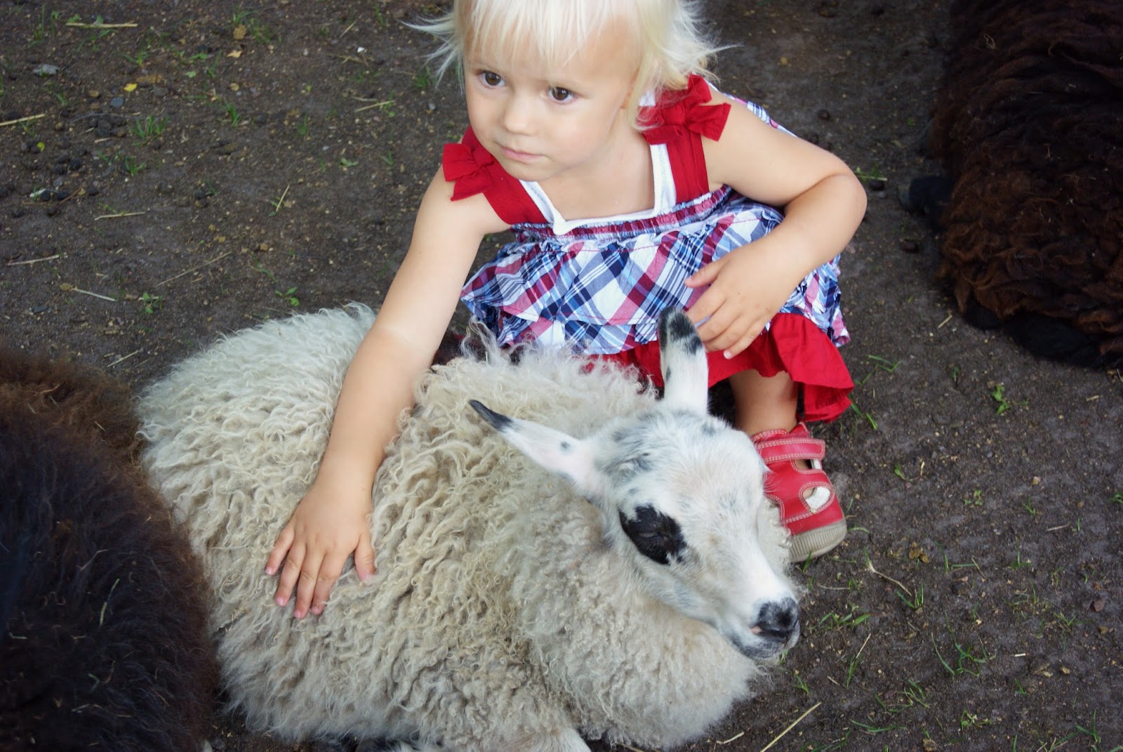 dejtingsajter ryssland