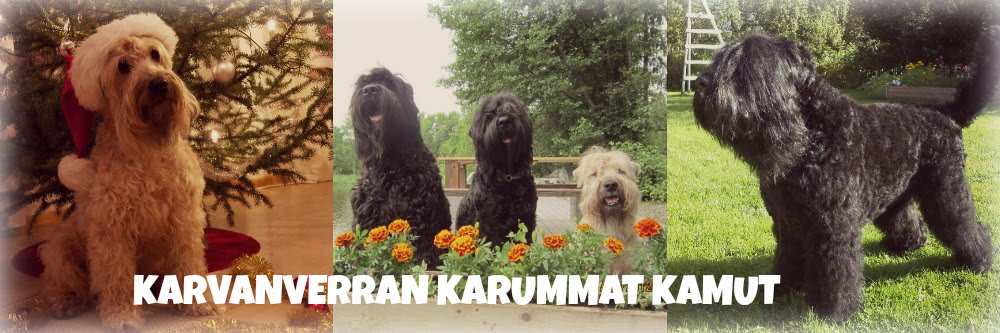 Kennel Karvanverran komeammat koirakamut