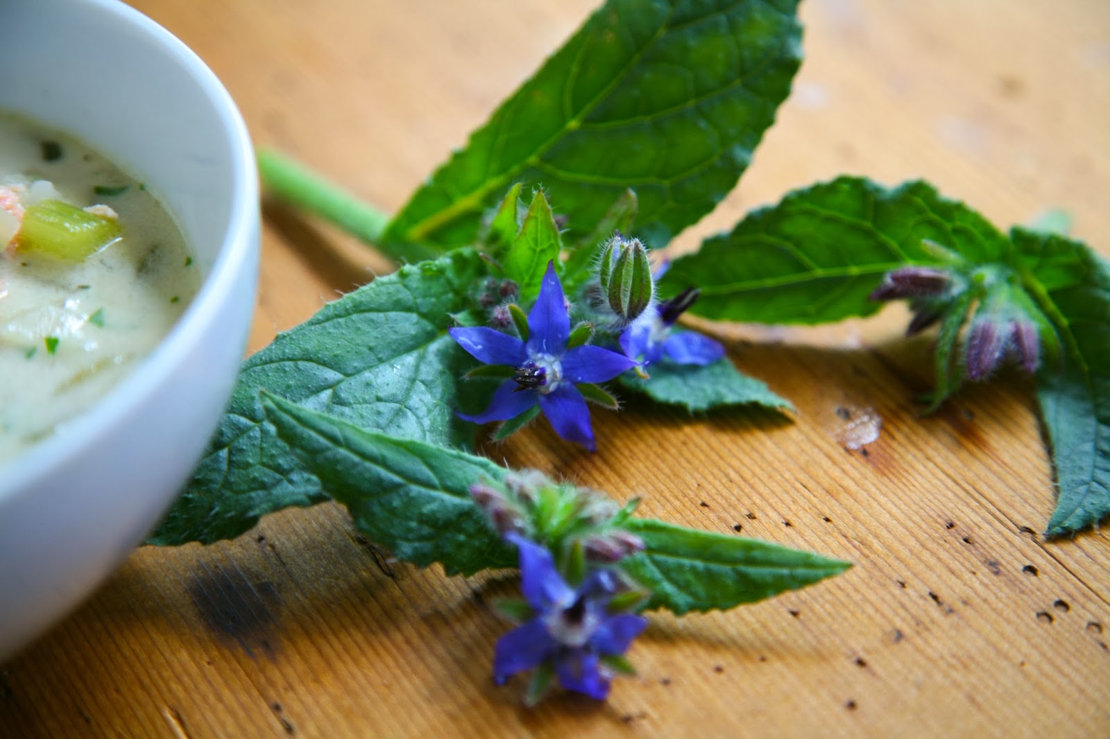 Suited To The Seasons Salmon Chowder With Borage Flowers