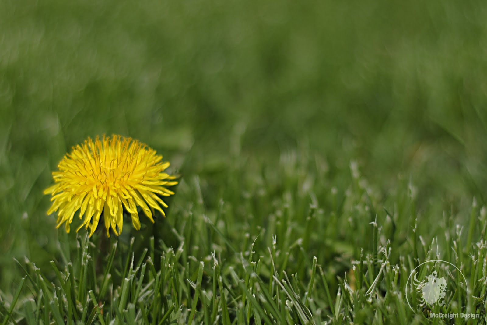 Spring April