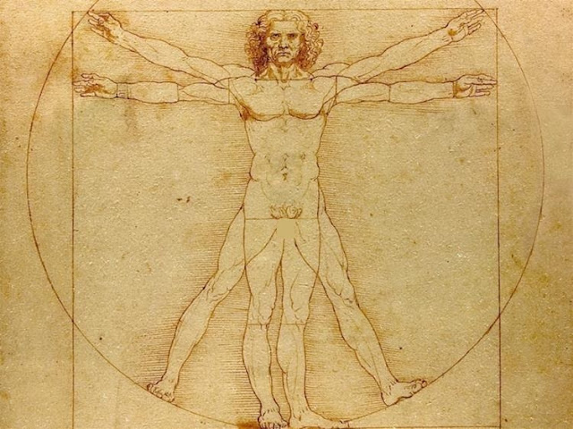 human body Top 10 interesting facts about human body