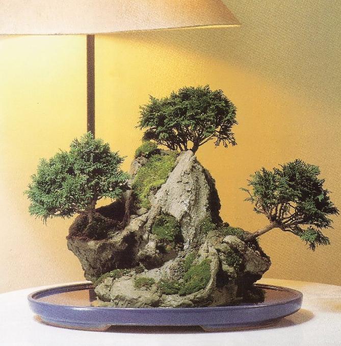 Roca artificial para Bonsai Construccion y Manualidades Hazlo tu mismo