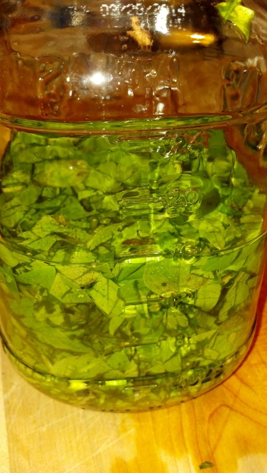 Fresh Basil Tincture HOMEGROWN