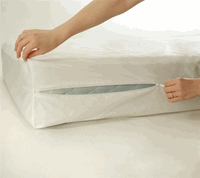 bed-bug-proff mattress encasement