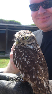 The Owl. And me.