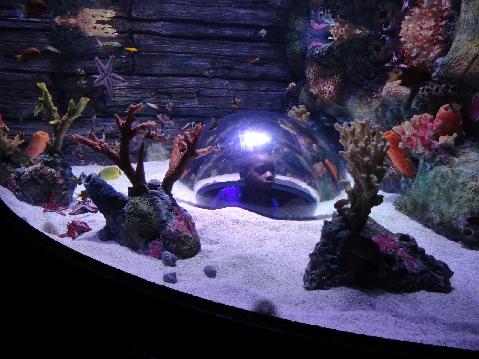 The famn damily Kansas City Aquarium