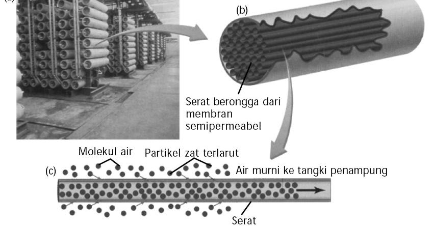 Proses Osmosis Balik, Tekanan Luar, Rumus, Contoh Soal, Kimia