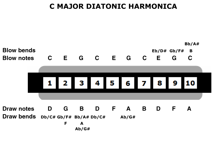 Note Harmonica Diatonic The Harmonica
