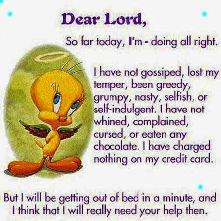 funny new year messages 2015 funny sms wishes quotes