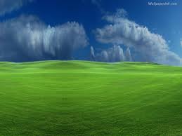 Wallpapers House : Windows XP Wallpapers Letest