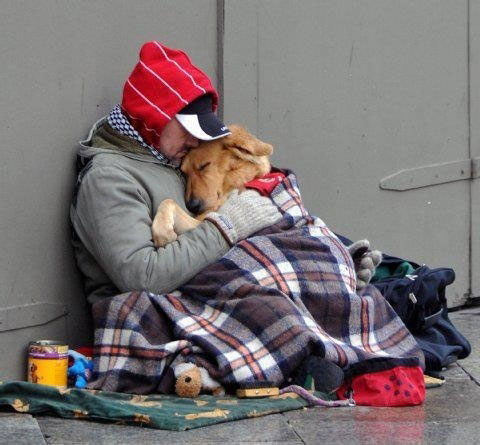 Picture Of Homeless Man Hugging Dog Picture Of Homeless Man Hugging Dog