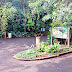 Bosque de Cornélio sofre com abandono