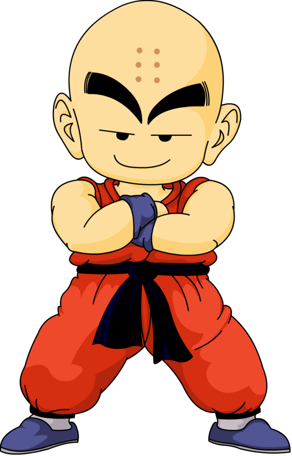 Dragon Ball – Nerd Careca