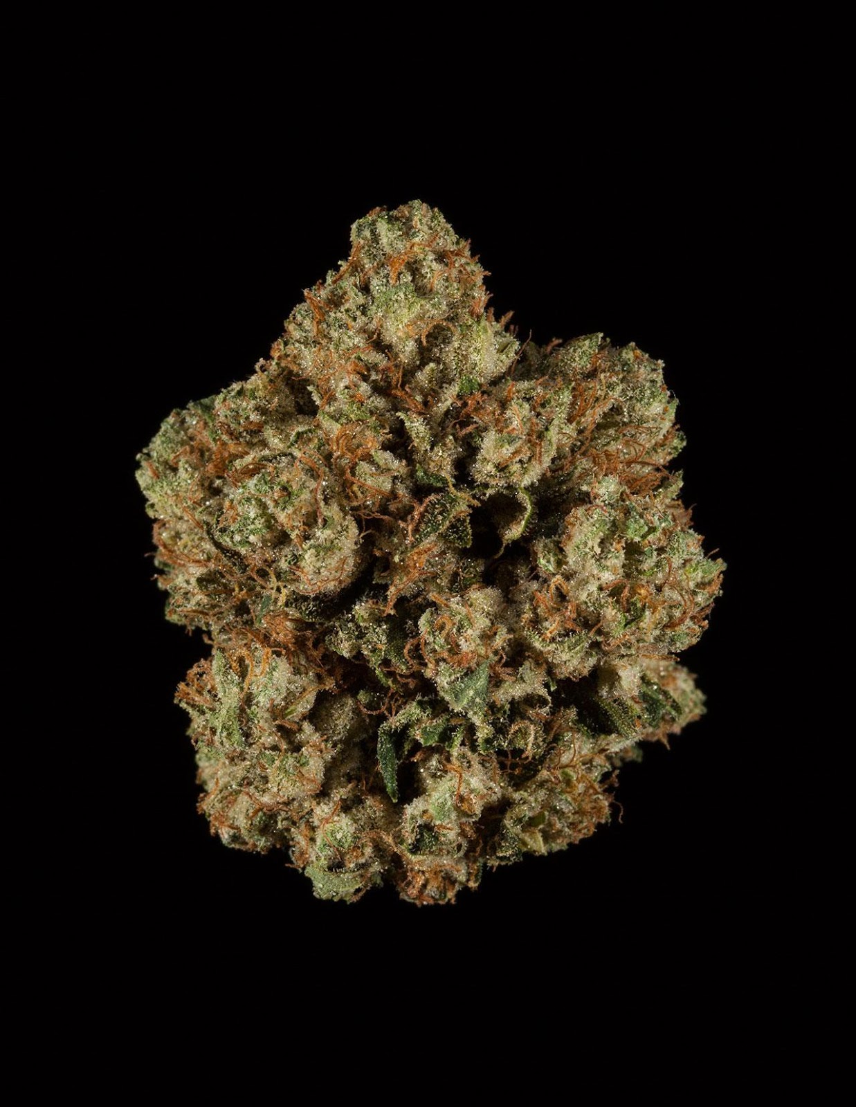 Kosher OG Kosher OG