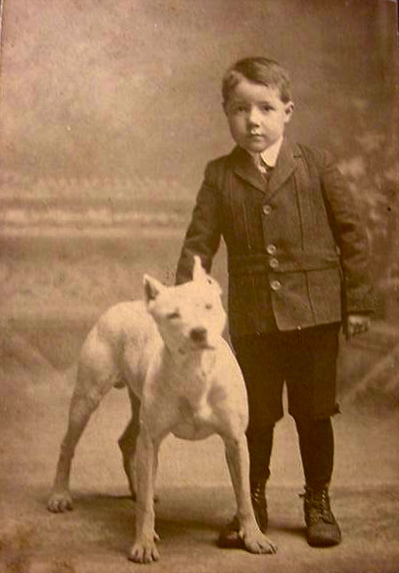 The Year in Pictures: Dog Days The Year in Pictures: Dog Days