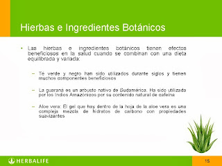 Productos Herbalife factores botanicos