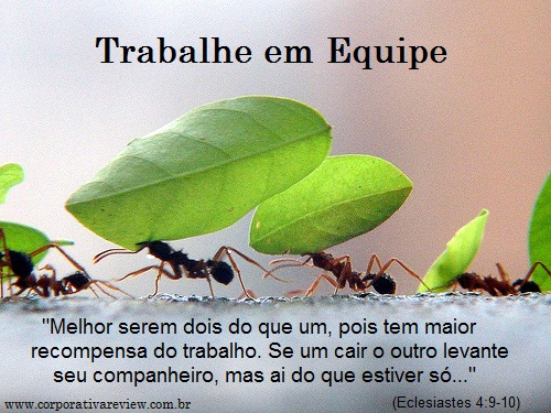 Artigo trabalho em equipe