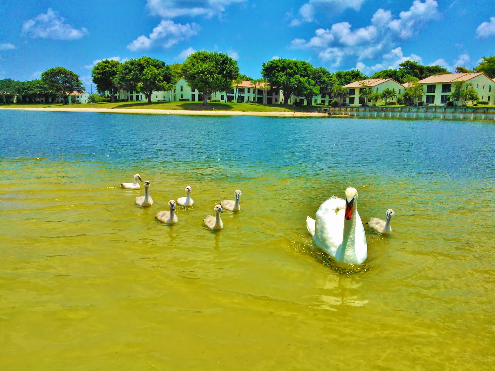 Windwood in Boca Raton