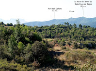 La Torre del Moro de Castellnou de Bages vista des del camí ramader La Torre del Moro de Castellnou de Bages vista des del camí ramader