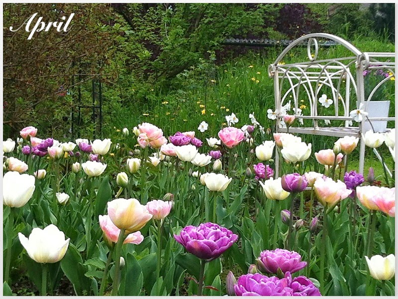 Garten am engerain: januar 2015