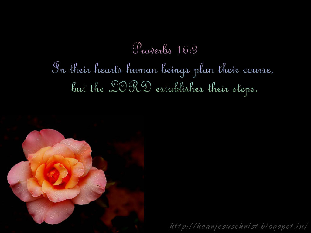 christian wallpapers bible verse wallpaper proverbs 16 9