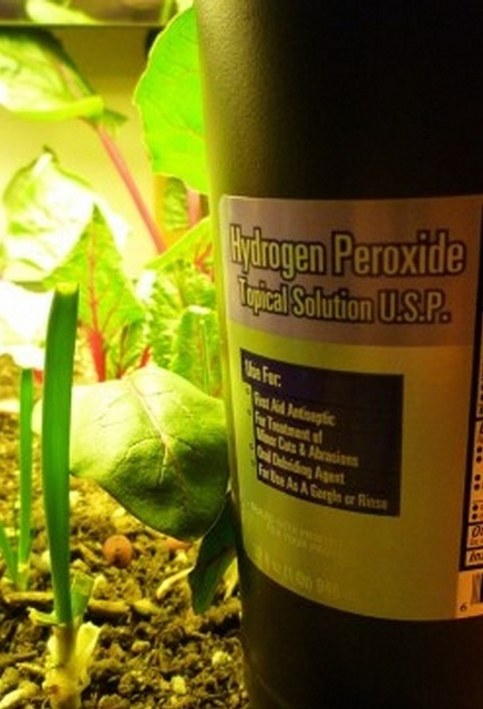 Garden with Hydrogen Peroxide - Alternative Green World