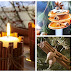 26 Amazing Christmas Aromatic Cinnamon Décor Ideas