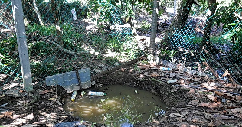 Wak Labu Farm Telage tube Wak Labu
